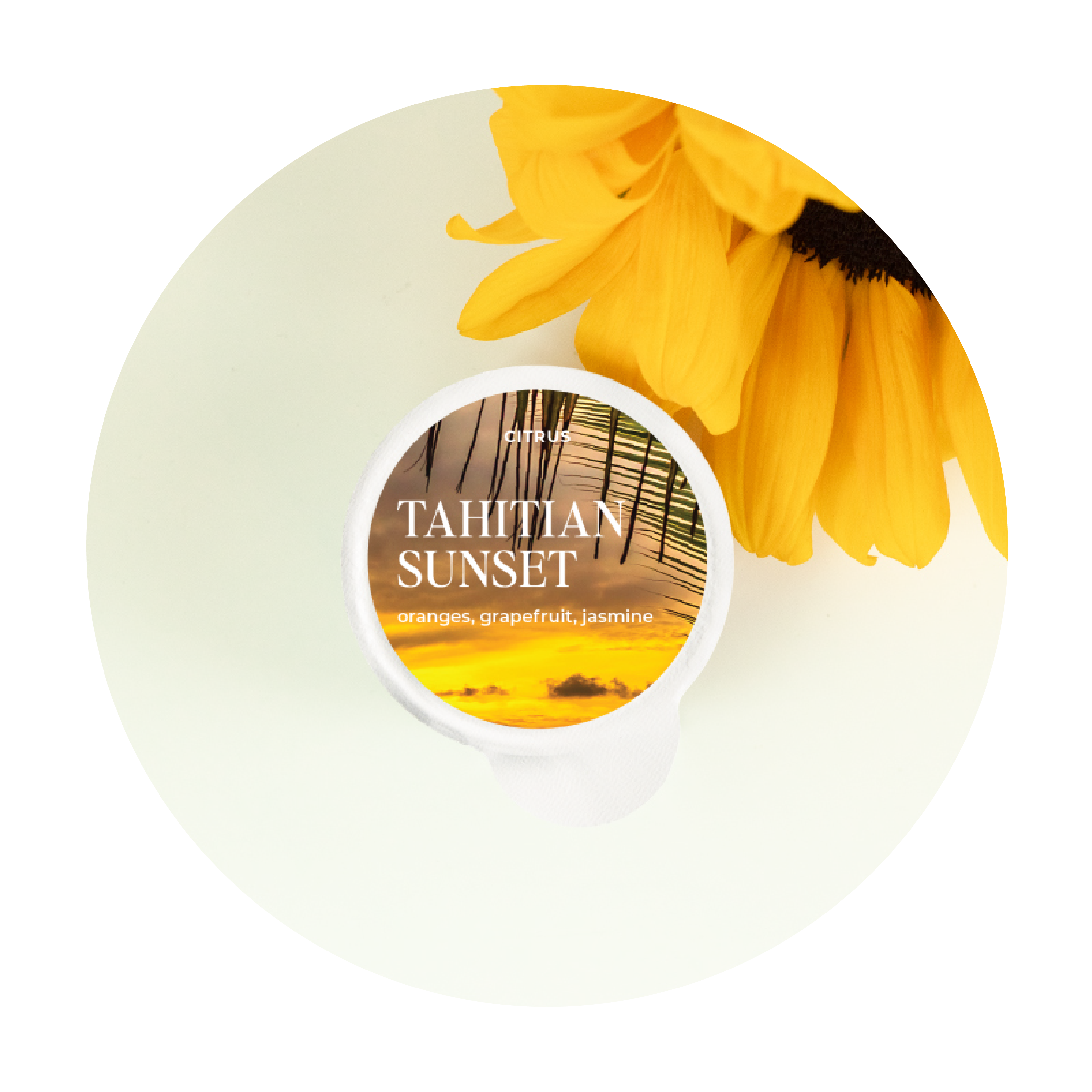 tahitian sunset fragrance pod